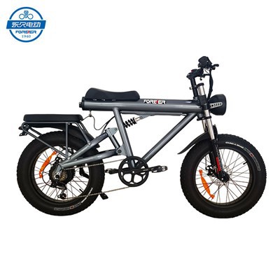 大人用電動自転車